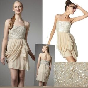 Alice Oliva Liran Chiffon Sequin Strapless Dress